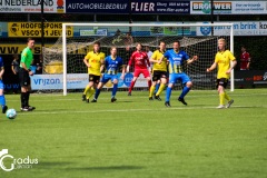 IMG_3546