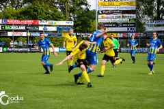 IMG_3586