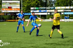 IMG_3596