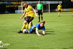 IMG_3628