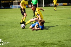 IMG_3629